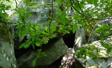 Vue du bas du talus